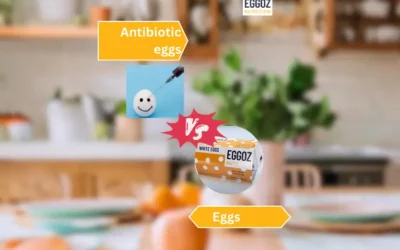 How to differentiate between antibiotic & fresh eggs?