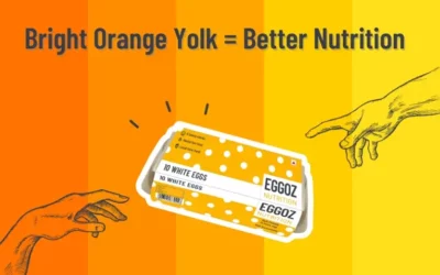Egg Yolk Colour: A Reflection of Quality or Perception?