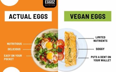 Vegan Eggs vs. Actual Eggs | Which One is Healthier?