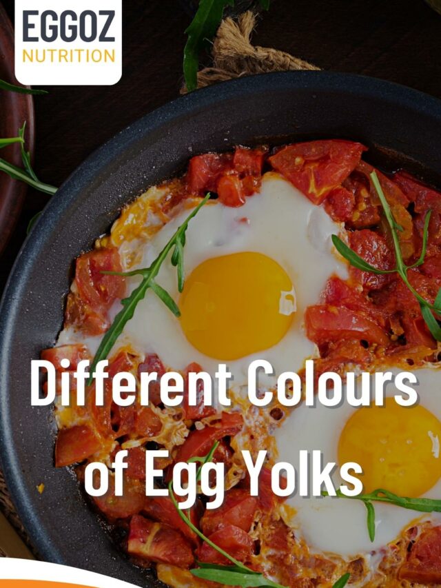 Different Colours of Egg Yolks