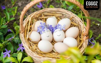 How Herbal Hen Feed Contributes to Healthy Eggs?