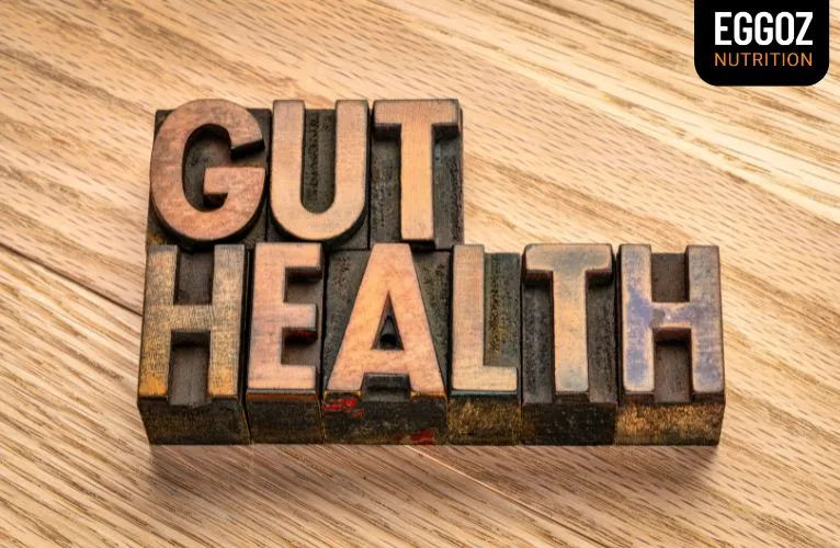 The Role of Eggs for Gut Health: Nutrients, Benefits, and Digestive Support
